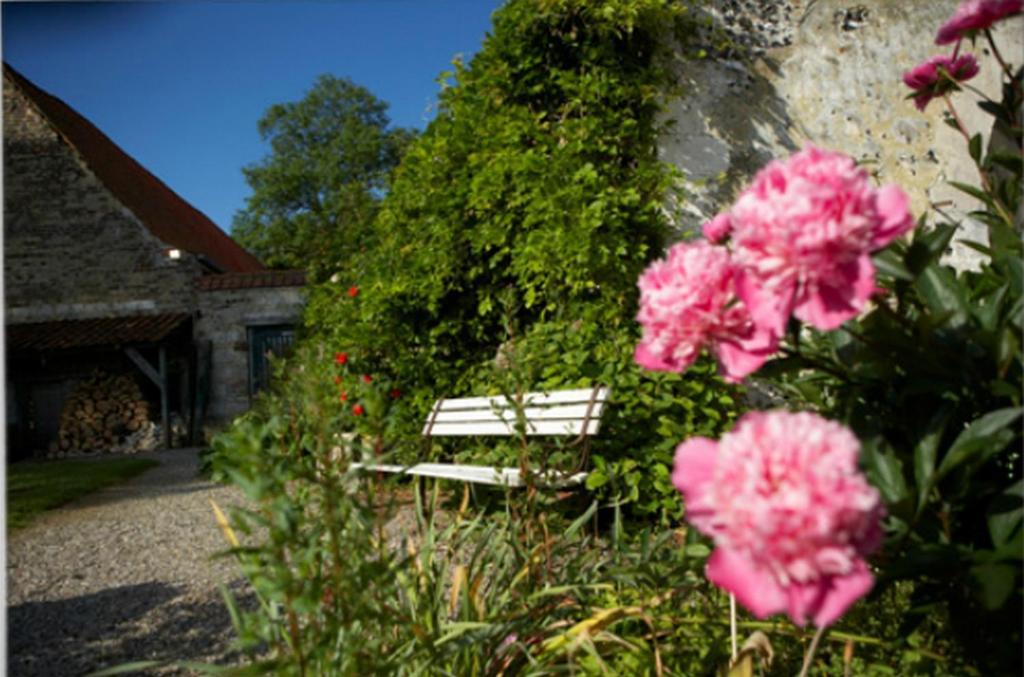 Chateau De Cocove Recques-sur-Hem Zewnętrze zdjęcie
